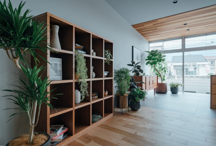 空間と壁と床をつなぐアクセントとなる植栽