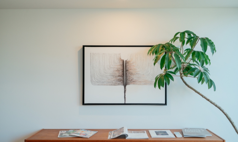 CHECK HOUSE SHOWROOM